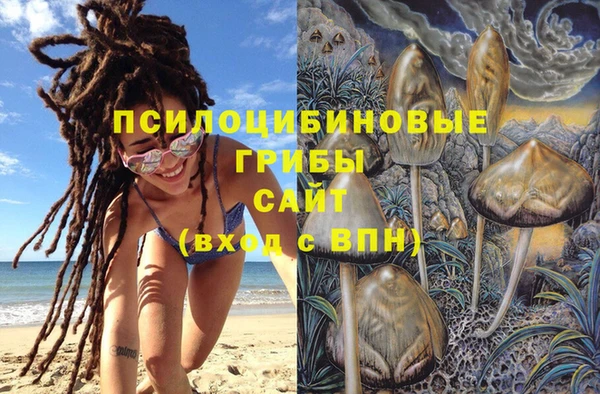 МДПВ Алексин