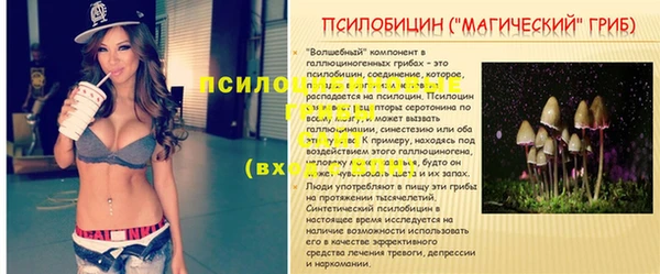 эйфоретик Абаза